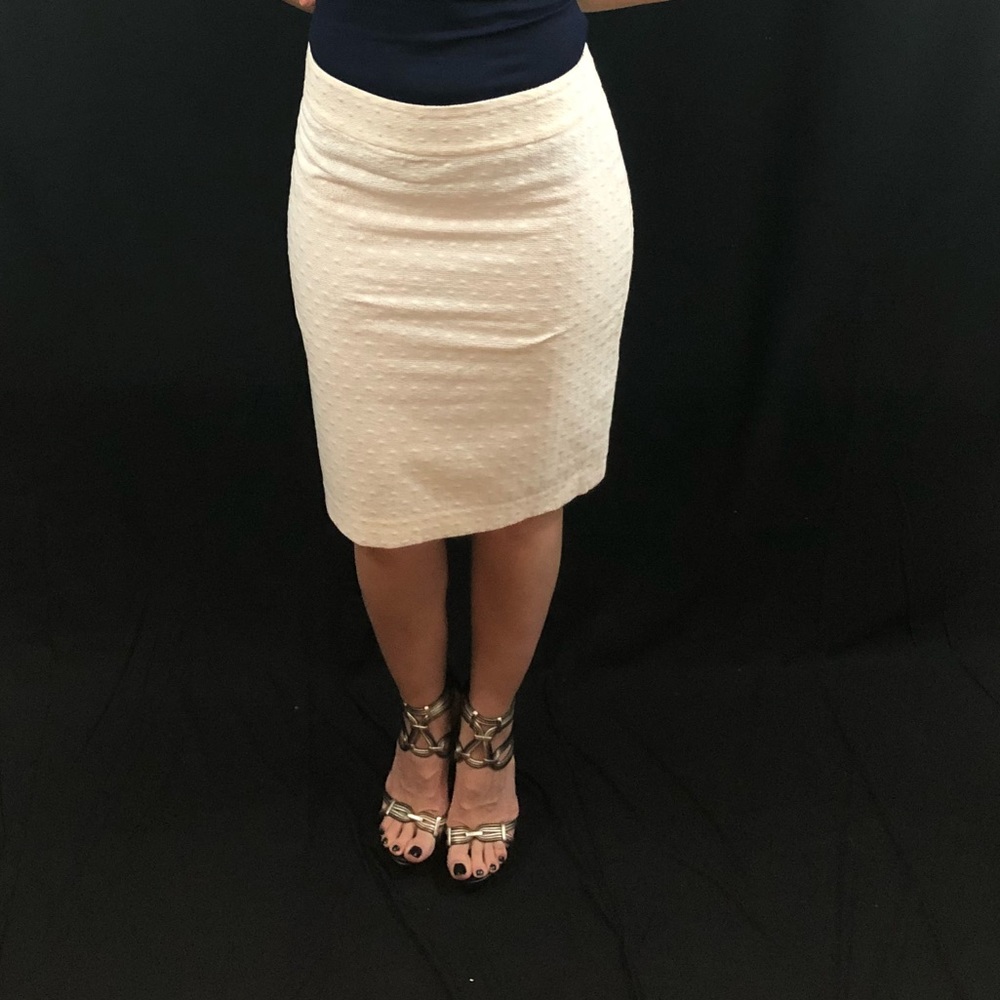Ann Taylor pencil Skirt